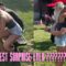 Navy Boyfriend’s Hilarious Surprise Leaves Girlfriend in Stitches | Try Not to Laugh!
