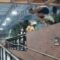 Over the Bannister and into Chaos: Watch This Epic Parkour Fail! | Try Not to Laugh