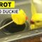 Parrot and duck engage in adorable conversation | Super Cute