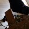 Pawsitively Charming Dog Steals Hearts with Piano Skills and Howling Melodies | Heartwarming