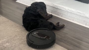 Puppy-gets-free-belly-rubs-from-robot-vacuum-Adorable.jpg