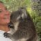 Pure Joy: Woman Embraces Adorable Koala for the First Time in a Heartwarming Moment | Heartsome