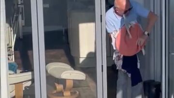 Seagull-Squatter-vs-Homeowner-Hilarious-Feud-Ensues-Try-Not.jpg