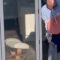 Seagull Squatter vs. Homeowner: Hilarious Feud Ensues! | Try Not to Laugh