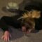 She Thought She Could Get Away with It—Instant Karma Strikes! | Try Not to Laugh