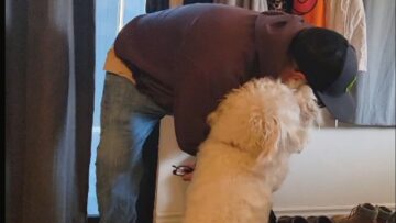 Sweetest-welcome-home-from-adorable-dog-Cute.jpg