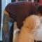Sweetest welcome home from adorable dog | Cute