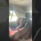 Toddler in stitches as mom entertains in car | Adorable