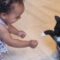Toddler’s Joyful Laughter and Playtime with a Sweet Kitten Will Melt Your Heart | Heartsome