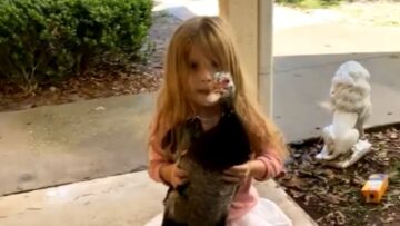 Unexpected-Visitor-Girl-Surprises-with-Wild-Duck-Adorable.jpg
