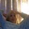 Watch Mom Jump! Son Pulls Off Hilarious Spider Prank That’ll Have You in Stitches | Try Not to Laugh