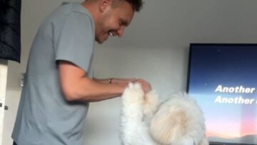 Watch-This-Adorable-Dog-Dad-Dance-Duo-That-Will-Melt-Your.jpg