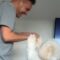 Watch This Adorable Dog-Dad Dance Duo That Will Melt Your Heart! | Heartwarming