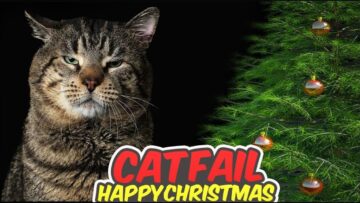 When-Christmas-Trees-Attack-A-Feline-Takeover-Try-Not.jpg