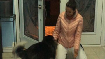 Adorable-Pups-Joyful-Reunion-with-Mommy-Will-Melt-Your-Heart.jpg