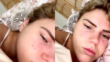Adorable-cat-gives-owner-ear-kisses-in-bed-Super.jpg