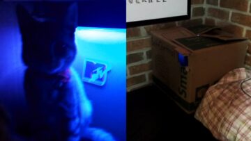 Angry-Kitty-VS-Camera-Hilarious-Room-Invasion-Attempt-Super.jpg