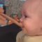 Baby devours spoon-fed food | Cute