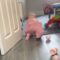 Baby girl unfazed by ball-pit balls in adorable babygrow | Super Cute