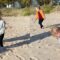 Beach exploration turns into a cute adventure for toddler | Super Cute
