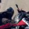 Boy fakes bike fall for surprise proposal | Adorable