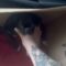 Boys overwhelmed by emotions when surprised with a new puppy | Adorable