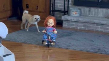 Chuckys-Tricycle-Ride-Prepare-for-Chills-Adorable.jpg