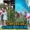 Color Explosion Gender Reveal | Super Cute