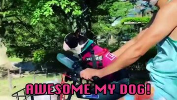 Early-Morning-Bike-Ride-with-Adorable-Dog-WooGlobe.jpg