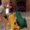 Epic Toddler Faceplant – Must-See Funny Baby Fail | Adorable