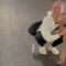 Fluffy Dog’s Joyful Reunion with Owner After Two Long Months | Heartwarming