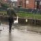 Gentle Soul Rescues Stranded Swan, Sparking a Beautiful Moment | Heartwarming