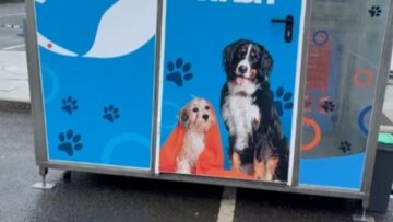Joyful-Doggy-Spa-Day-A-Tail-Wagging-Adventure-at-the-Mobile.jpg