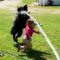 “Joyful Playtime: Little Girl Tumbles as Adorable Dog Can’t Contain Its Excitement! | Heartwarming”