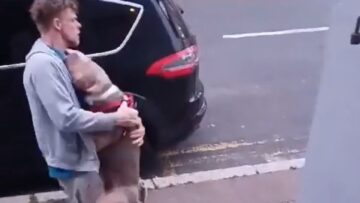Joyful-Reunion-Man-Receives-Overwhelming-Paw-some-Welcome-Home-After-Two.jpg
