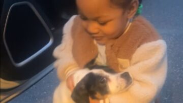 Kindhearted-Girl-Welcomes-Stray-Dog-Into-Her-Life-Sparking-An.jpg