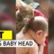 Kitten Makes Baby Giggle | Cute