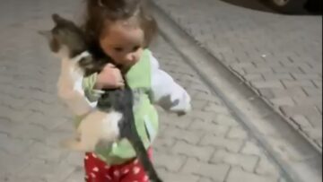 Little-girls-heartwarming-bond-with-street-cat-Adorable.jpg