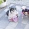 Little pups show off their spooky costumes in an Adorable Halloween Celebration | Super Cute