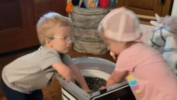 Little-siblings-create-chaos-with-bird-seeds-Super-Cute.jpg