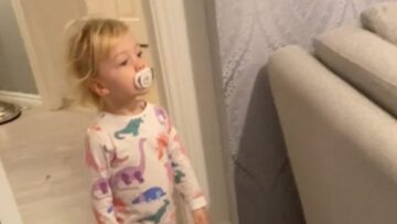 Mischievous-elves-break-the-rules-to-feed-dinosaurs-Adorable.jpg