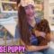 Parents Surprise Daughter with a Super Cute Puppy | Heartwarming Reaction Video
