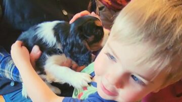 Parents-surprises-kids-with-puppy-on-Christmas-2022-Cute.jpg