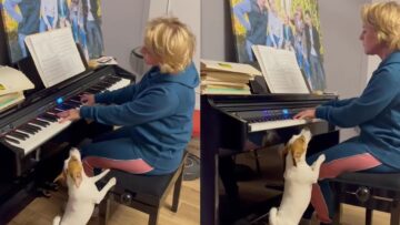 Paw-sitively-Melodious-Dog-Sings-With-Love-While-Owner-Plays-Piano.jpg