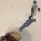 Penguin and Toddler Play Hide and Seek | Adorable