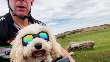 Puppys-Joyful-Bicycle-Adventure-Under-the-Sunshine-Heartsome.jpg