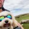Puppy’s Joyful Bicycle Adventure Under the Sunshine | Heartsome