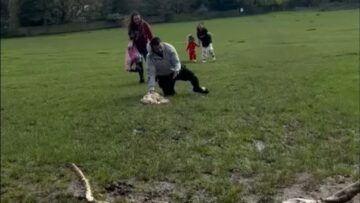 Slippery-Deer-Park-adventure-Cute.jpg