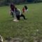 Slippery Deer Park adventure | Cute