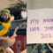 Strangers Shower Love on Jobless Macaw with Gifts That Brighten His Days | Heartwarming